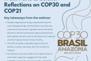 COP30 webinar 